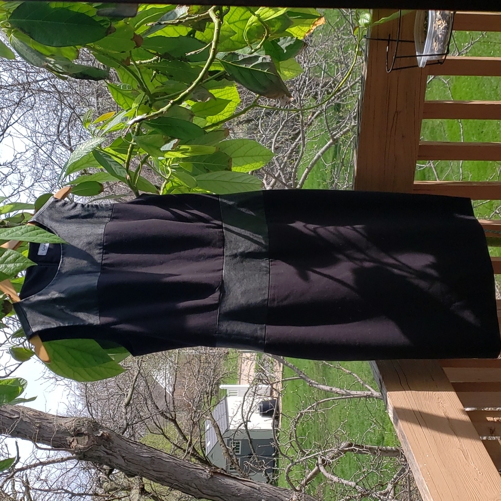 Calvin Klein Black Sleeveless Dress 10